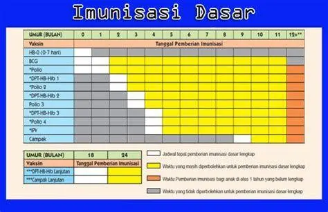 Imunisasi Anak sesuai Regulasi Proses imunisasi bayi di puskesmas