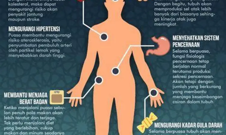 Manfaat Medis Puasa Infografis manfaat puasa bagi kesehatan jantung dan otak