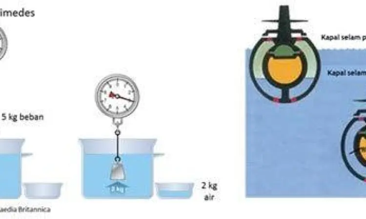 Diagram Gaya Archimedes Diagram gaya angkat Archimedes pada lambung kapal laut