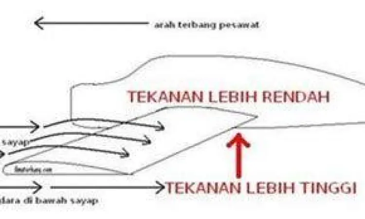 Gaya angkat pada sayap pesawat berdasarkan hukum bernoulli
