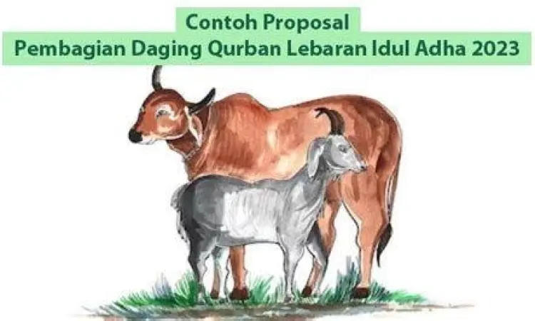 Manajemen Daging Qurban tata cara pembagian daging qurban