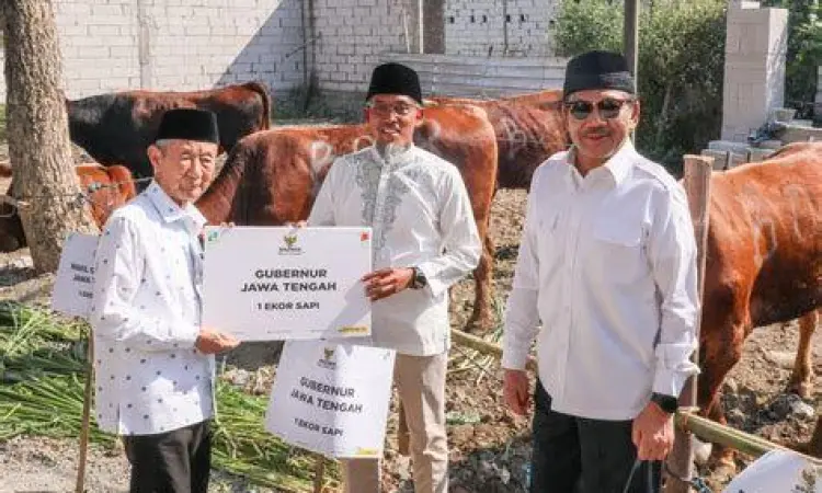 Distribusi daging kurban kepada masyarakat