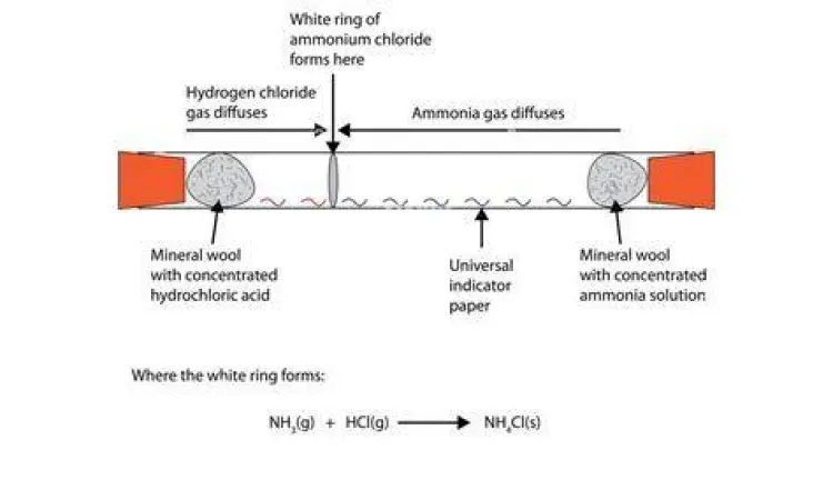 reaksi pembentukan amonia