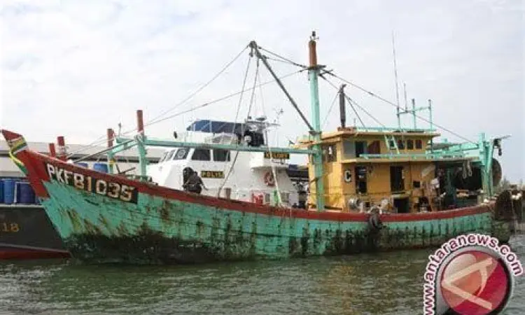 Alat Tangkap Ilegal Alat tangkap pukat harimau dilarang di Indonesia