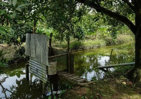 Infrastruktur Sanitasi Mandiri Pembangunan jamban sehat mandiri