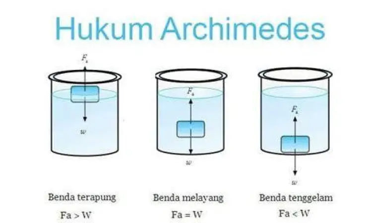 Diagram Gaya Apung Diagram gaya apung hukum archimedes