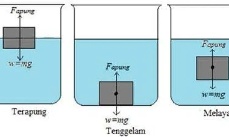 Diagram Gaya Archimedes Diagram gaya angkat ke atas pada benda di dalam air