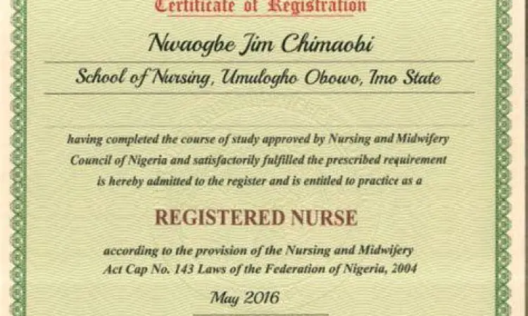 Regulasi Praktik Keperawatan Dokumen legalitas praktik keperawatan