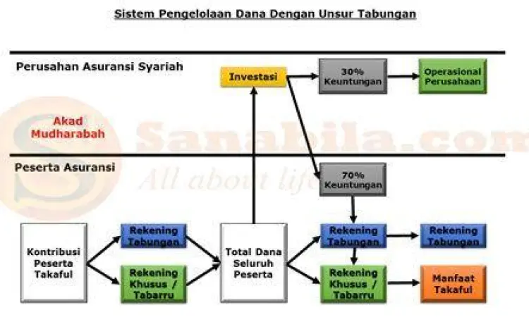 Diagram alur pemisahan dana peserta dalam sistem asuransi syariah.